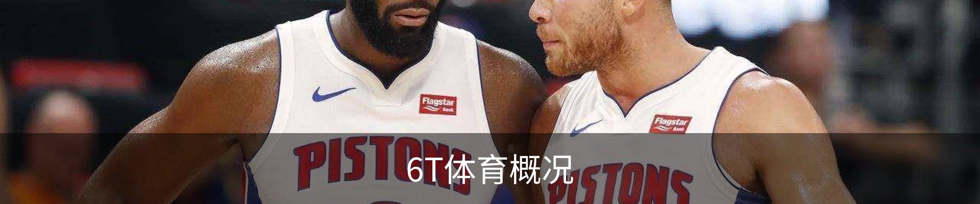 6T体育概况